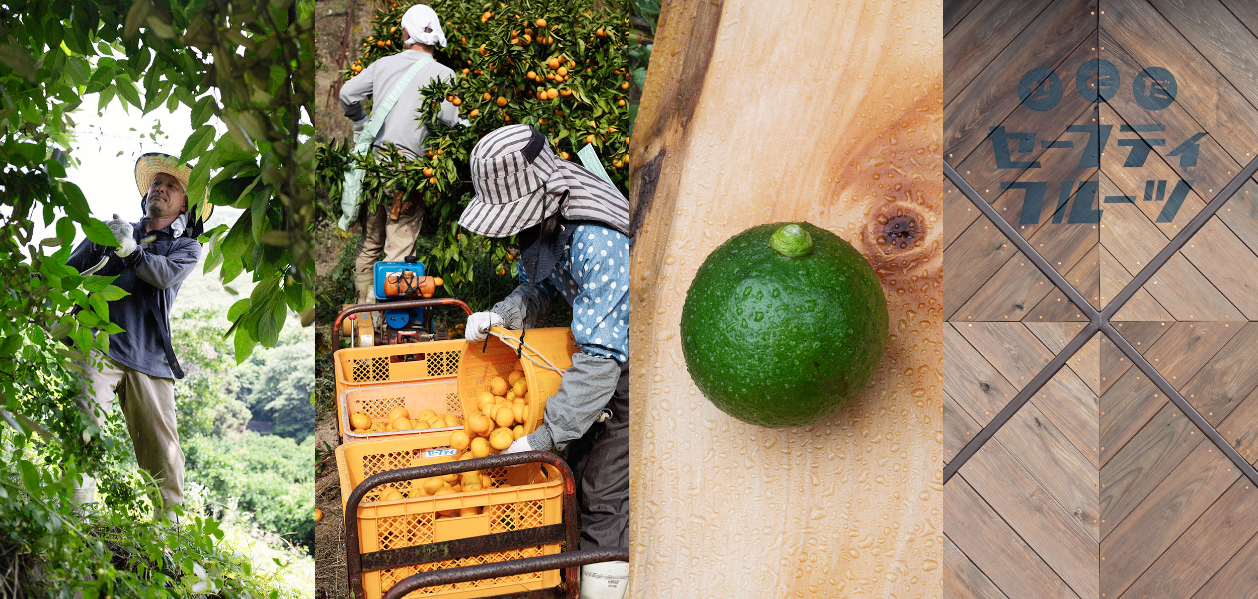 新鮮なレモン 大量 楽天市場】業務用（レモン｜フルーツ・果物）：食品の通販