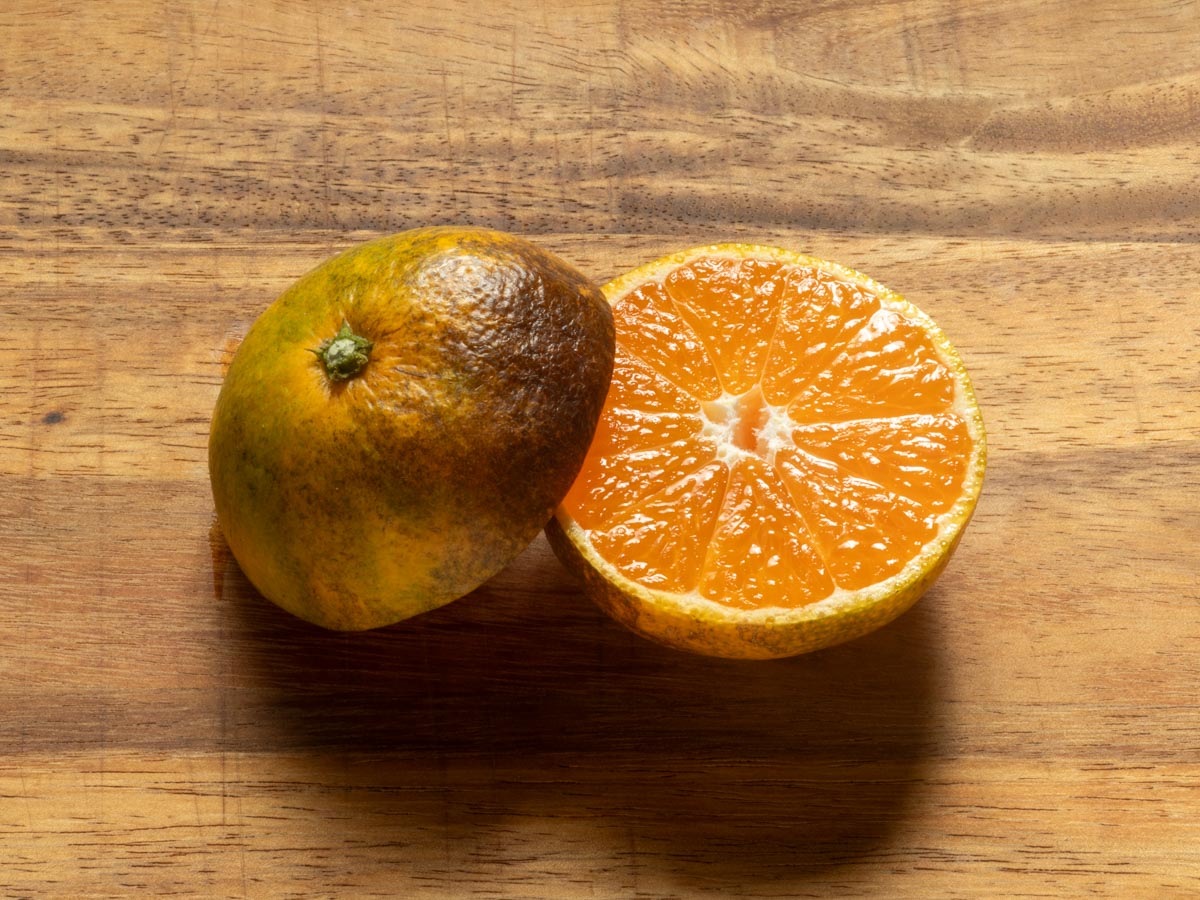 やけみかん 10kg - 画像 (10)