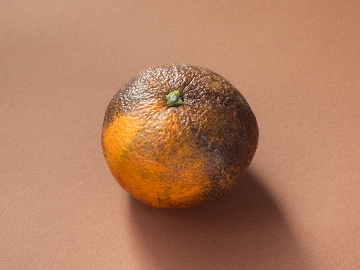 やけみかん 10kg