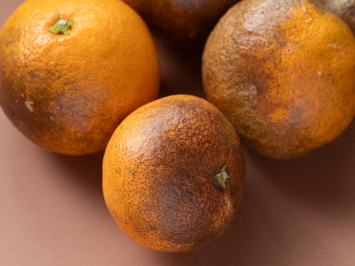 やけみかん 10kg - 画像 (4)