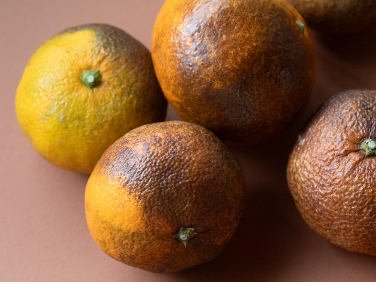 やけみかん 10kg - 画像 (3)